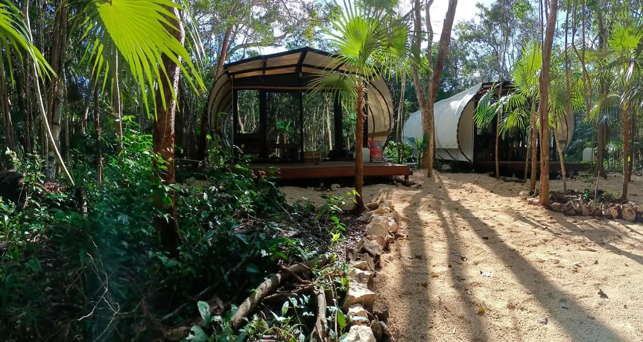 Luxury tent Zil-Kaab Hidden Glamping Village Tulum