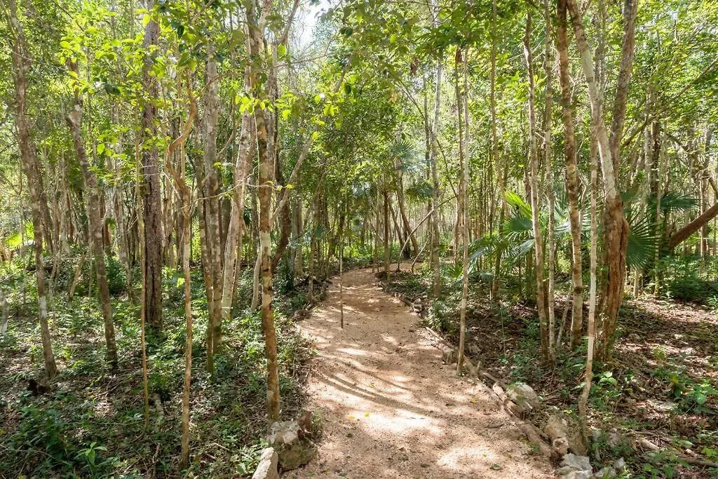 Zil-Kaab Hidden Glamping Village Tulum